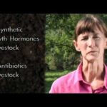 A woman in a pink shirt stands outdoors. Text beside her reads: "No Synthetic Growth Hormones in Livestock. No Antibiotics in Livestock.